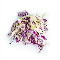Red Cabbage